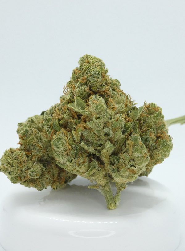 Fleurs de CBD White Russian de la marque Le P'tit Suisse CBD